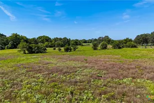 985 Dewberry Ln, Harwood, TX 78632 - Photo 13