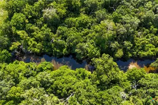 985 Dewberry Ln, Harwood, TX 78632 - Photo 3