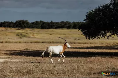 Lot 1 Legacy Hills Drive, Johnson City, TX 78636 - Photo 13