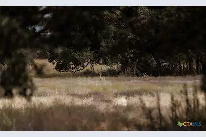 Lot 1 Legacy Hills Drive, Johnson City, TX 78636 - Photo 3