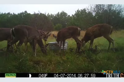 3018 County Road 3790, Lampasas, TX 76550 - Photo 5