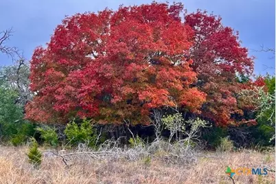 3018 County Road 3790, Lampasas, TX 76550 - Photo 1