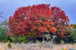 3018 County Rd 3790, Lampasas, TX 76550 - Photo 1
