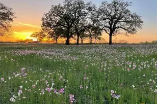 460 Woelke Rd, Seguin, TX 78155 - Photo 1