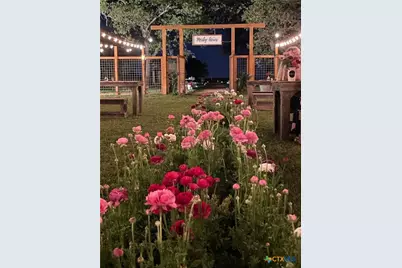 460 Woelke Road, Seguin, TX 78155 - Photo 5