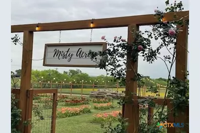 460 Woelke Road, Seguin, TX 78155 - Photo 11