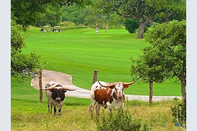 334 Springside, San Antonio, TX 78260 - Photo 43