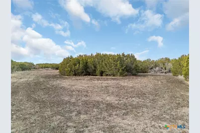 3250 County Road 202, Burnet, TX 78611 - Photo 9