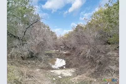 3250 County Road 202, Burnet, TX 78611 - Photo 13