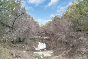 3250 Co Rd 202, Burnet, TX 78611 - Photo 13