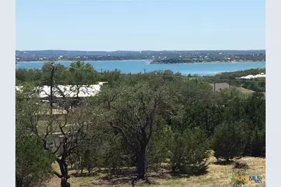 207 Bobby Clark Drive, Canyon Lake, TX 78133 - Photo 3