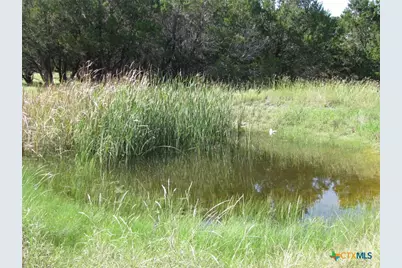 4463 County Road 158, Evant, TX 76525 - Photo 27