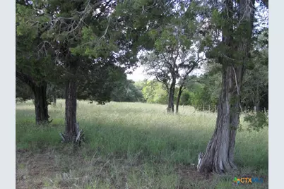 4463 County Road 158, Evant, TX 76525 - Photo 23