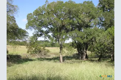 4463 County Road 158, Evant, TX 76525 - Photo 17