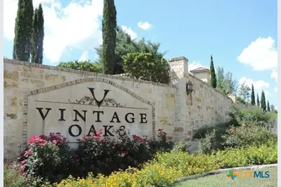 1218 Stone Gully, New Braunfels, TX 78132 - Photo 23