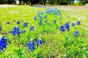 400 Indian Hills Rd, Gatesville, TX 76528 - Photo 35