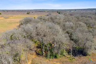 579 Lower Elgin Rd, Elgin, TX 78621 - Photo 11