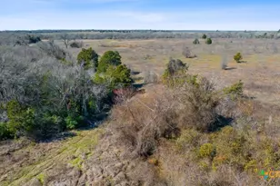 579 Lower Elgin Rd, Elgin, TX 78621 - Photo 9