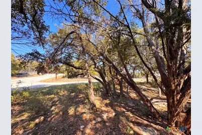 0Tbd Westview Drive, Canyon Lake, TX 78133 - Photo 7