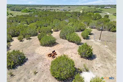 493 County Road 204, Burnet, TX 78611 - Photo 11