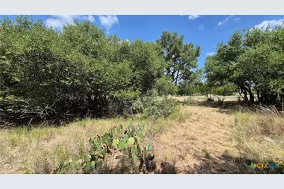 162 Scarlet Court Court, Canyon Lake, TX 78133 - Photo 3