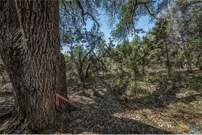 162 Scarlet Court Court, Canyon Lake, TX 78133 - Photo 13