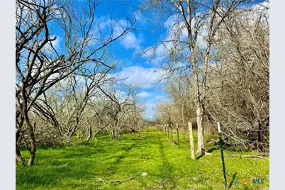 1118 Cr 447, Waelder, TX 78959 - Photo 5