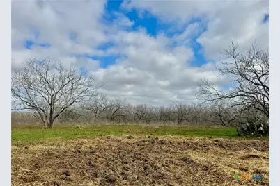 1118 Cr 447, Waelder, TX 78959 - Photo 11