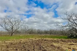 1118 Co Rd 447, Waelder, TX 78959 - Photo 11