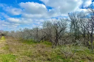1118 Co Rd 447, Waelder, TX 78959 - Photo 13