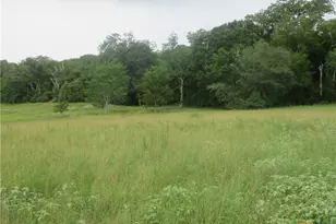 2846 Co Rd 18 Lavaca County Tx, Hallettsville, TX 77964 - Photo 3