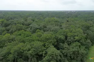 2846 Co Rd 18 Lavaca County Tx, Hallettsville, TX 77964 - Photo 31