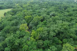 2846 Co Rd 18 Lavaca County Tx, Hallettsville, TX 77964 - Photo 37