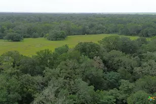 2846 Co Rd 18 Lavaca County Tx, Hallettsville, TX 77964 - Photo 33