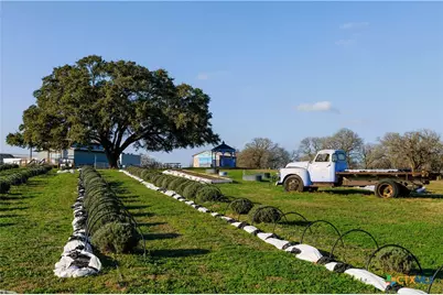 1080 Whisper Road, Luling, TX 78648 - Photo 27