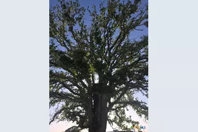 1080 Whisper Road, Luling, TX 78648 - Photo 15