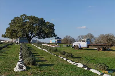 1080 Whisper Road, Luling, TX 78648 - Photo 25