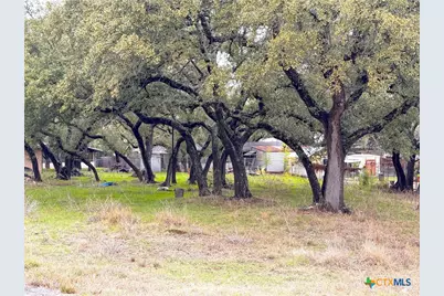 Tbd Irene Drive, Canyon Lake, TX 78133 - Photo 9