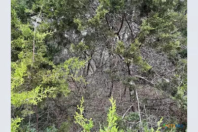 364 Lake Park Loop, Canyon Lake, TX 78133 - Photo 3