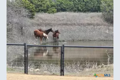 4321 County Road 220, Gatesville, TX 76528 - Photo 39