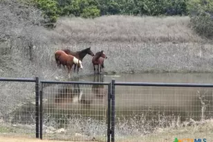 4321 Co Rd 220, Gatesville, TX 76528 - Photo 39