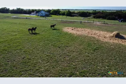 4321 County Road 220, Gatesville, TX 76528 - Photo 5