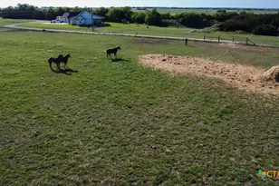 4321 Co Rd 220, Gatesville, TX 76528 - Photo 5