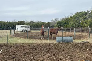 4321 Co Rd 220, Gatesville, TX 76528 - Photo 7