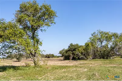 12211 Fm 531 #Tract 4, Hallettsville, TX 77964 - Photo 3