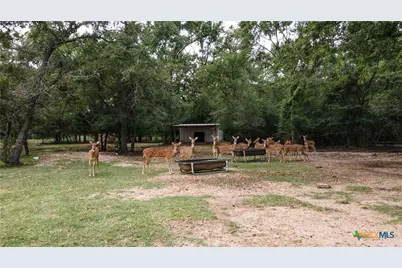 10285 Ferrill Creek Road, Bryan, TX 77808 - Photo 39