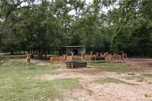 10285 Ferrill Creek Rd, Bryan, TX 77808 - Photo 39