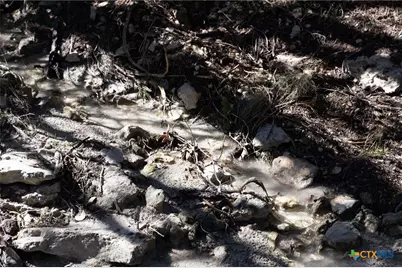 837 Crystal Peak Drive, Fischer, TX 78623 - Photo 21