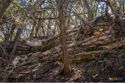 837 Crystal Peak Drive, Fischer, TX 78623 - Photo 23