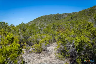 837 Crystal Peak Drive, Fischer, TX 78623 - Photo 5